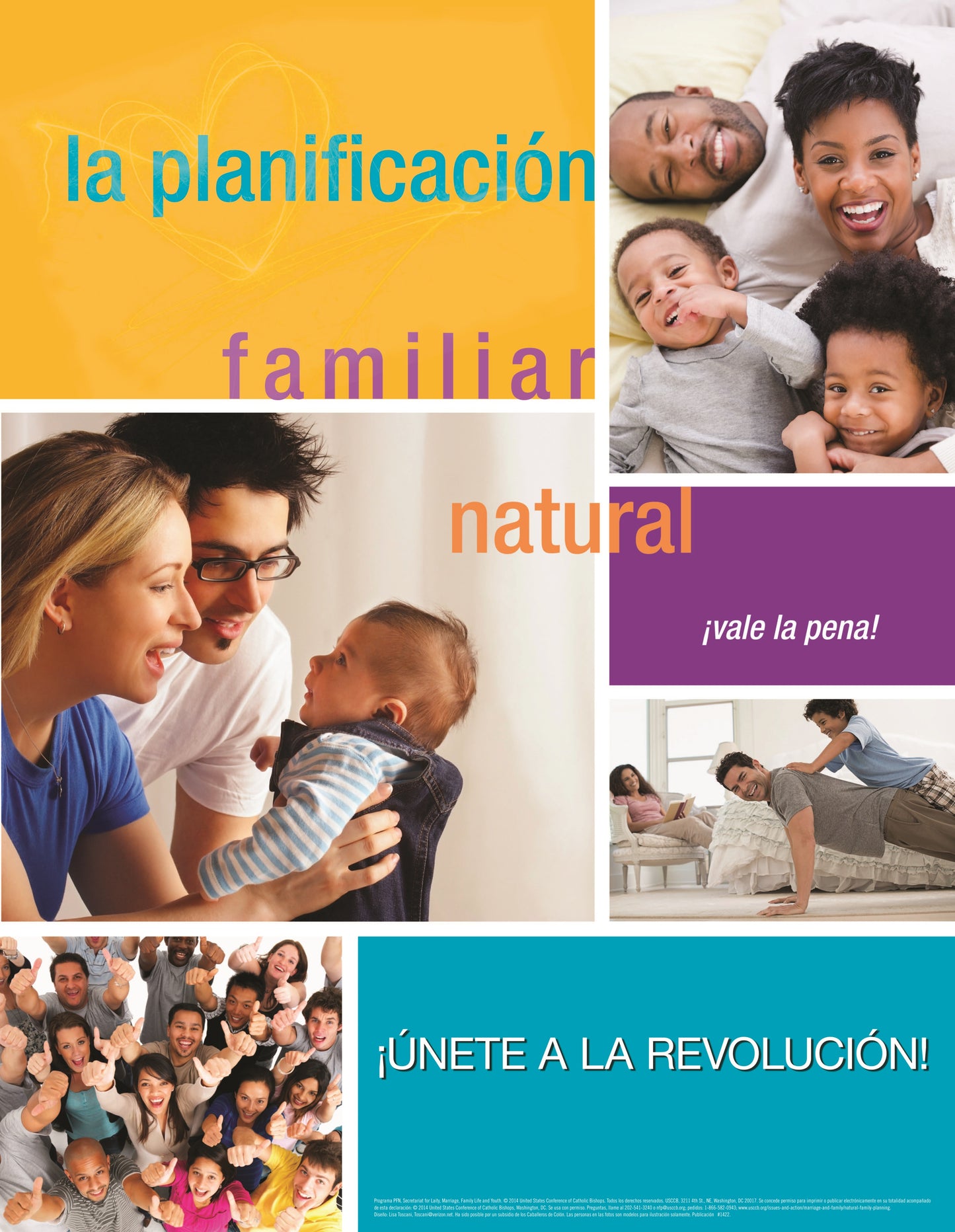 NFP Week Poster - 2014: "Natural Family Planning, It's Worth it!" (Flat)