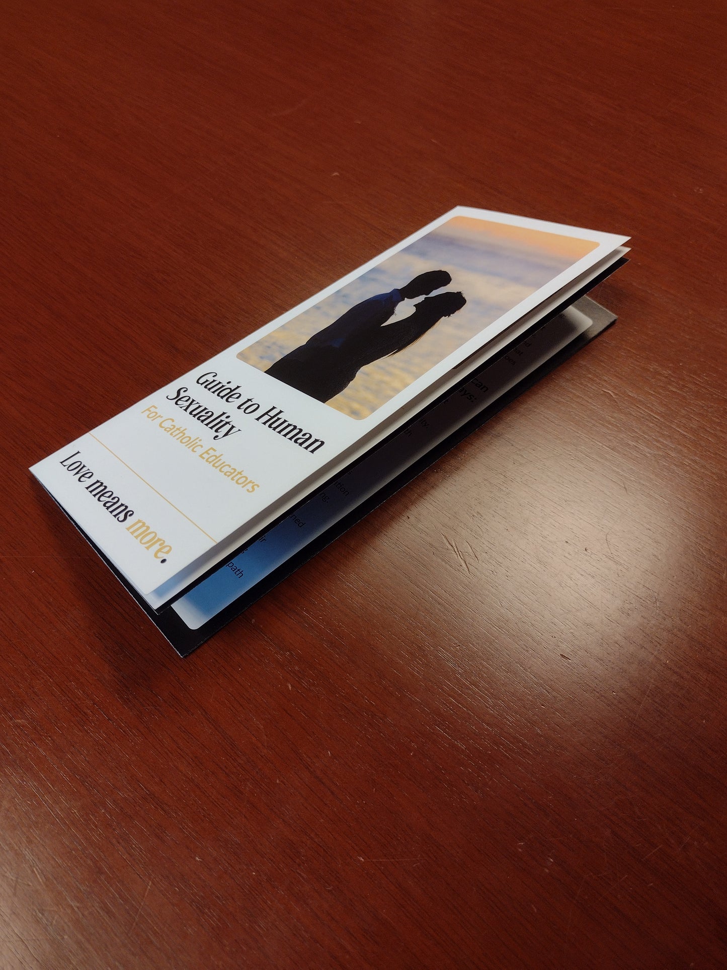 Booklet: Guide to Human Sexuality for Catholic Educators (Pack of 10)