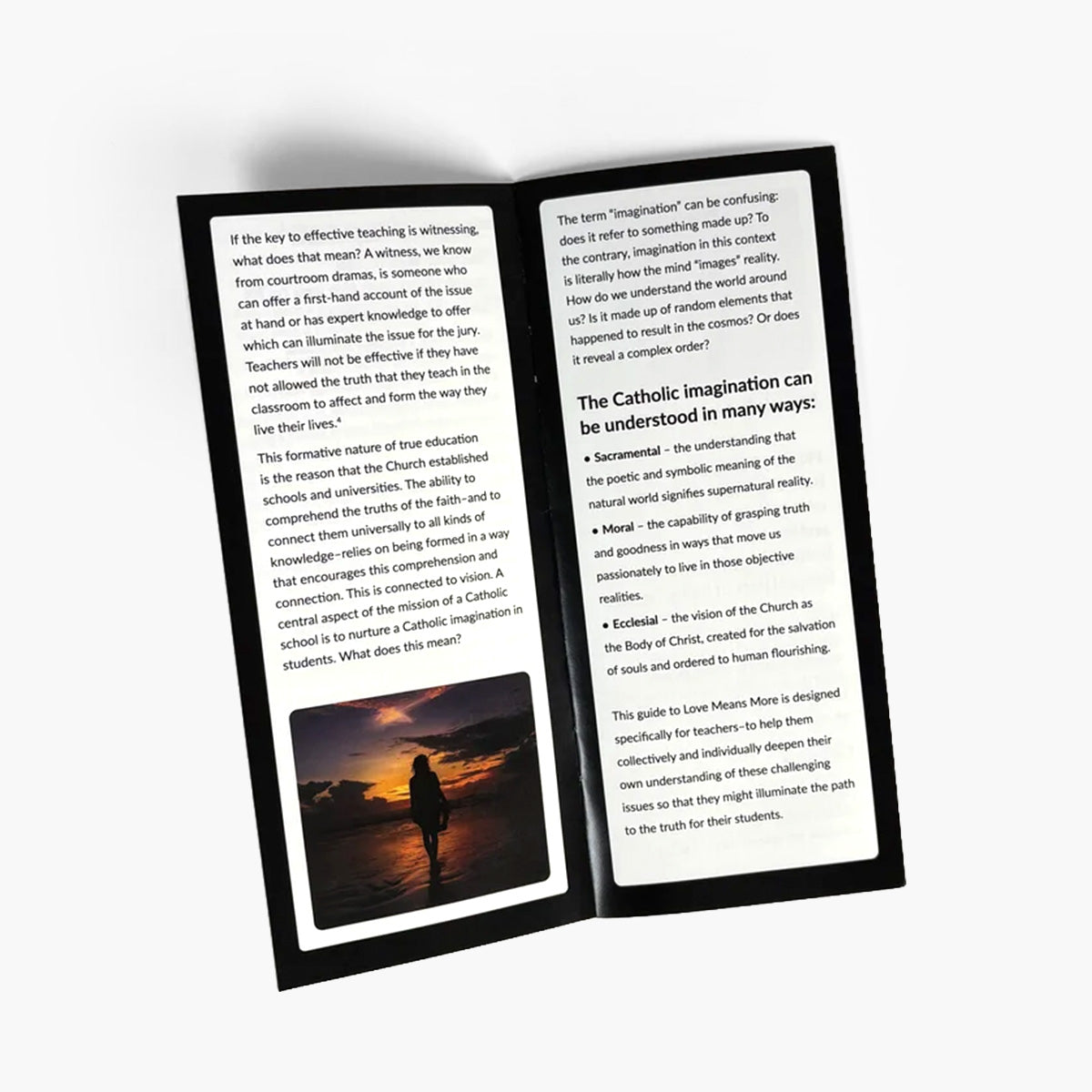 Guide to Human Sexuality for Catholic Educators (Pack of 10)